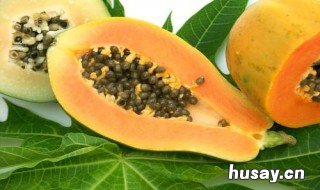 木瓜的功效与作用是什么 木瓜的功效与作用是什么呢?