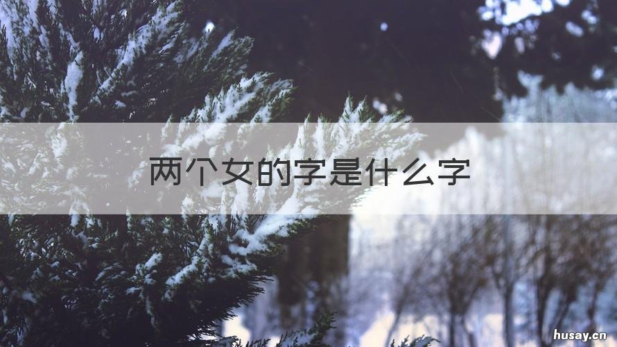 两个女的字是什么字 两个女字一个子字是什么字