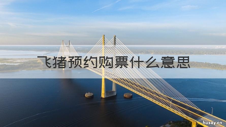 飞猪预约购票什么意思 飞猪上预约购票成功率高吗
