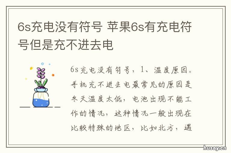 6s充电没有符号 苹果6s有充电符号但是充不进去电