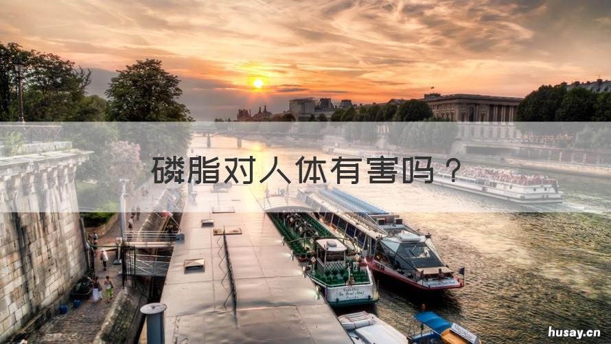 磷脂对人体有害吗 香兰素是什么对人体有害吗