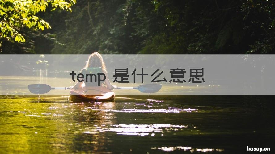 temp 是什么意思