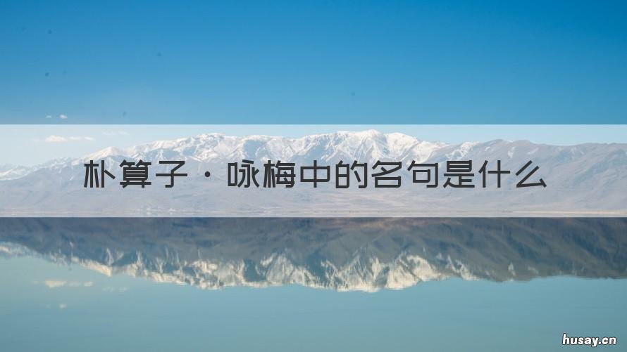 朴算子·咏梅中的名句是什么 朴算子咏梅解释