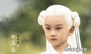 白滚滚怎么没有凤尾花