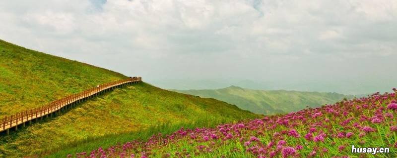 韭菜坪海拔 韭菜岭海拔多少米