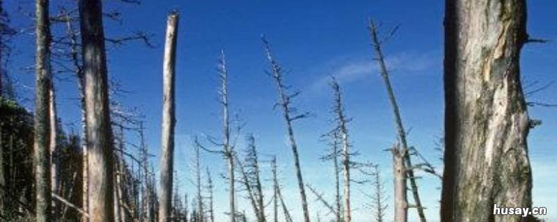 酸雨是什么 酸雨是什么地区的雨水
