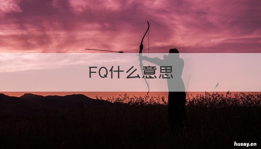 FQ什么意思 sjfq什么意思
