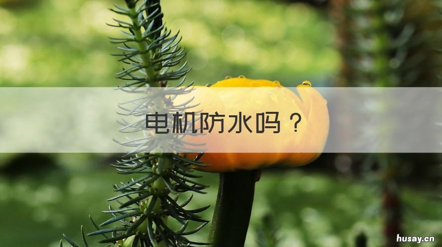 电机防水吗 油烟机的电机防水吗