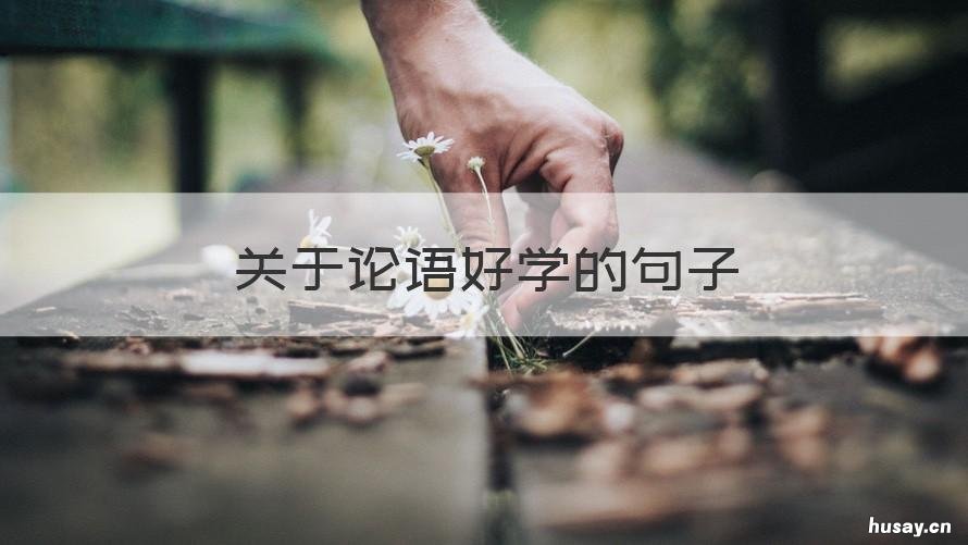 关于论语好学的句子 论语表示好学的句子