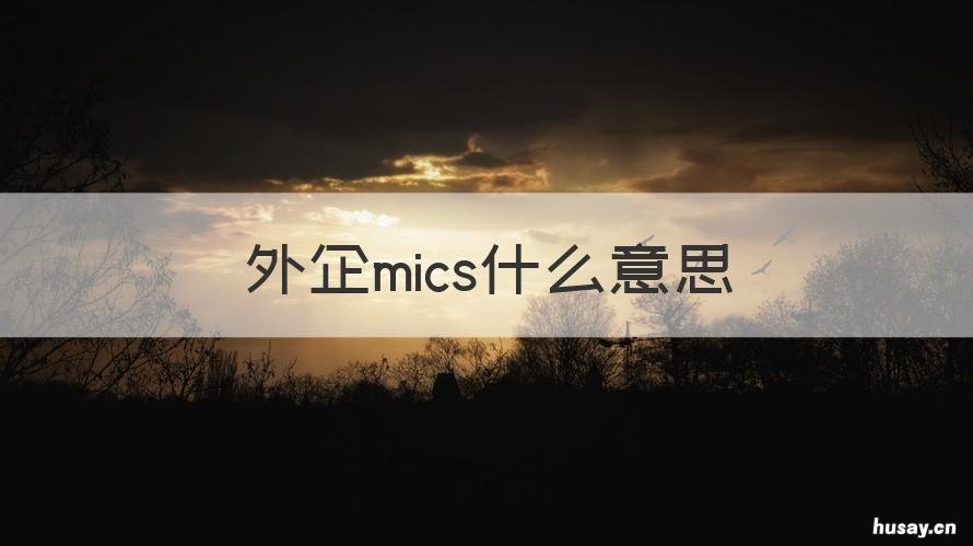 外企mics什么意思 外企mic是什么职位