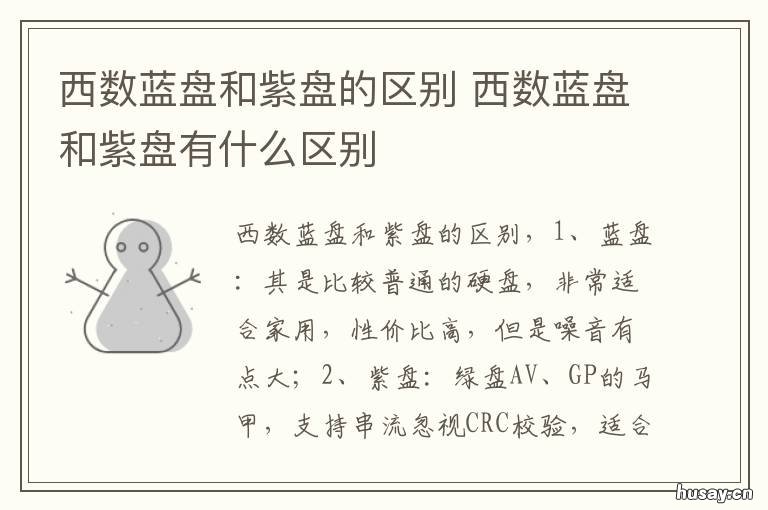 西数蓝盘和紫盘的区别 西数 蓝盘和紫盘