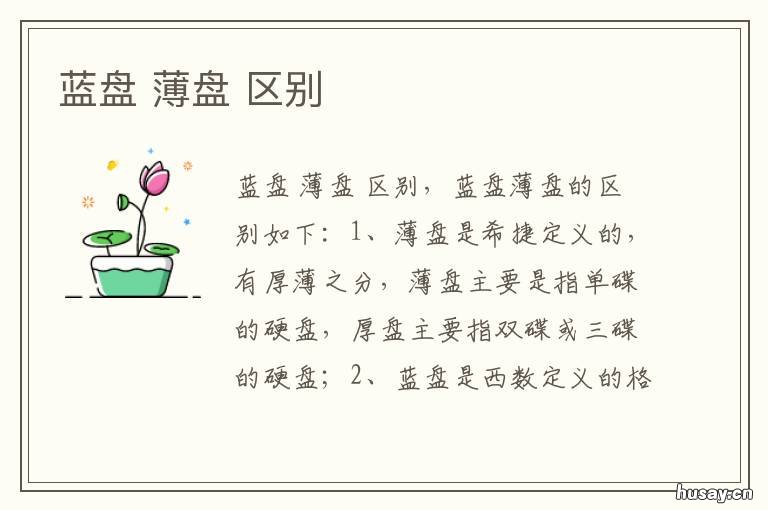 蓝盘 蓝盘什么意思