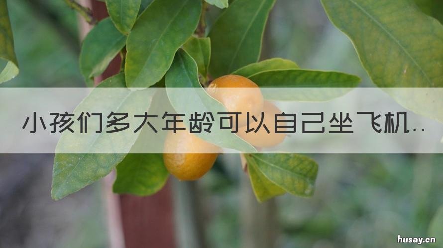 小孩们多大年龄可以自己坐飞机 多少岁的孩子可以自己坐飞机