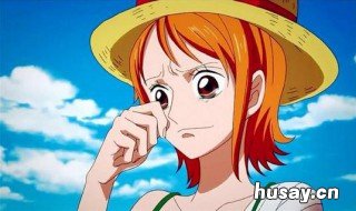 娜美山治是官配吗 娜美有官配吗