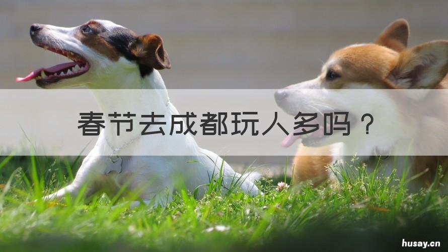 春节去成都玩人多吗 春节去成都玩人多吗现在