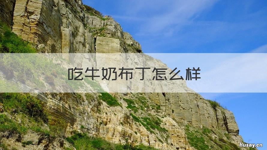 吃牛奶布丁怎么样 吃牛奶布丁怎么样才能减肥