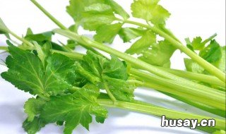 芹菜根泡水喝的功效 芹菜根泡水喝的功效与作用