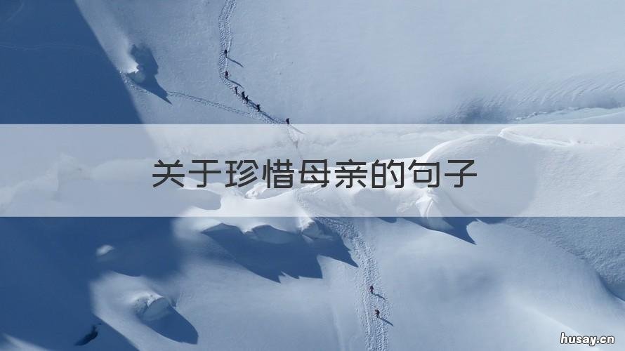 关于珍惜母亲的句子 珍惜母亲的感悟