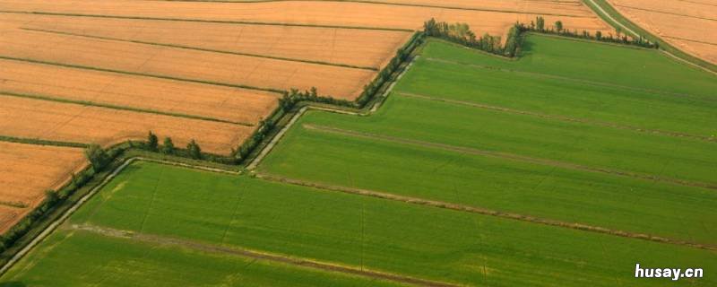 一垄地多大面积 一垄地是多少平方米