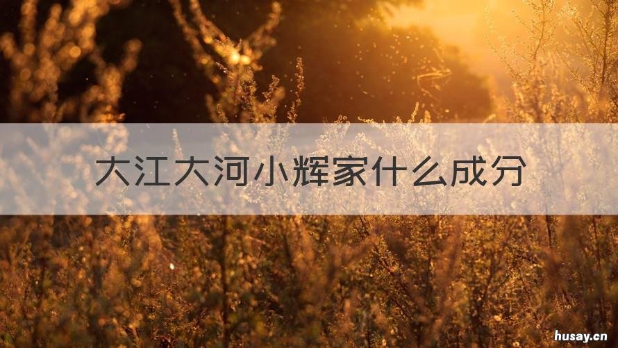 大江大河小辉家什么成分 大江大河小辉什么级别