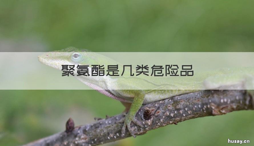 聚氨酯是几类危险品 聚酯属于危险化学品吗