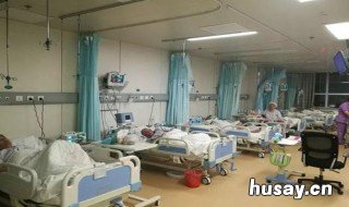 免疫力与抵抗力的区别是什么 抵抗力和免疫力有什么区别?