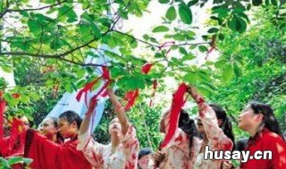 花朝节传说 花朝节传说缩写