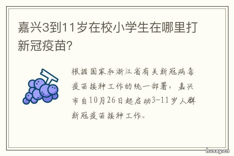 嘉兴3到11岁在校小学生在哪里打新冠疫苗？ 嘉兴小学入学