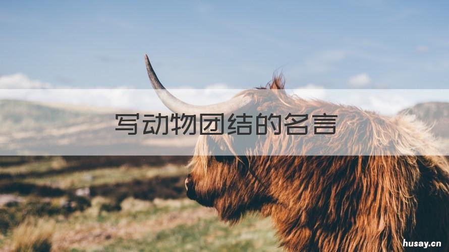 写动物团结的名言 有动物的团结名言