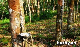 铝和橡胶怎么分拣 橡胶铝件如何分离