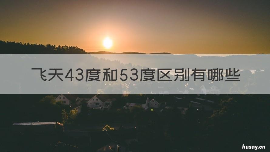 飞天43度和53度区别有哪些 飞天43度和53度区别有哪些呢