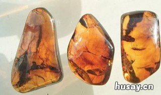 四年级下册琥珀是怎么形成的 四年级下册琥珀是怎么形成的过程作文