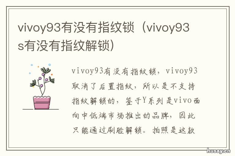 vivoy93有没有指纹锁 vivoy93s带指纹锁吗