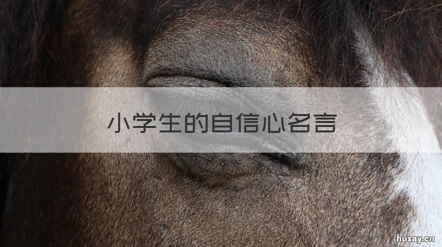 小学生的自信心名言 鼓励学生自信的名言