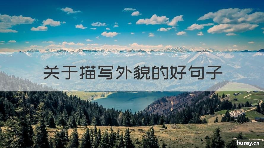 关于描写外貌的好句子 关于描写外貌的句子有哪些