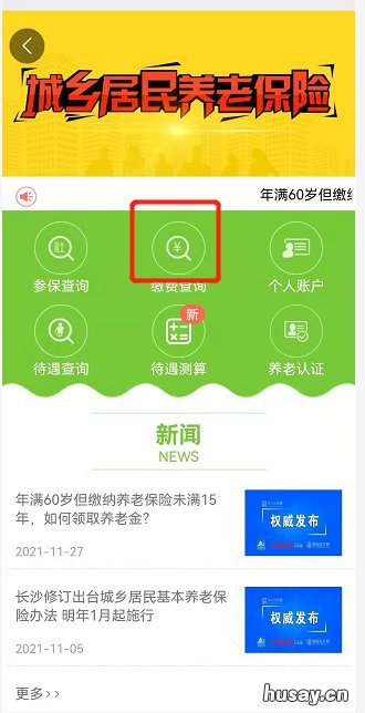 长沙市城乡居民养老保险个人账户查询入口+流程 长沙市城乡居民养老保险基础养老金
