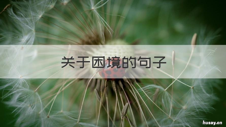 关于困境的句子 陷入困境的句子简短