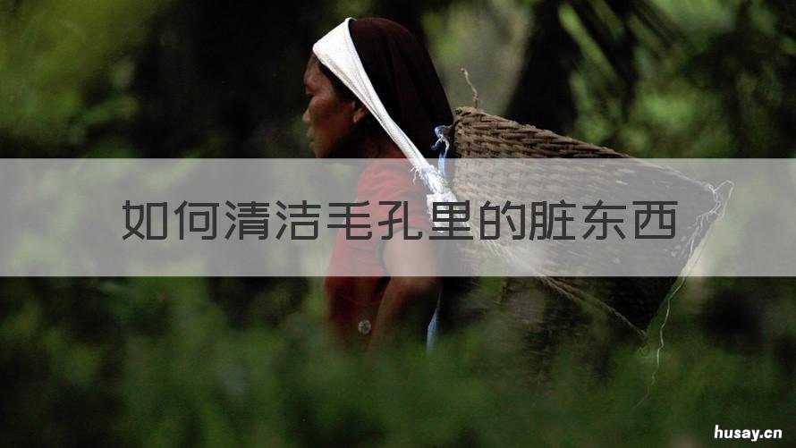 如何清洁毛孔里的脏东西 怎样清洁毛孔里的脏东西