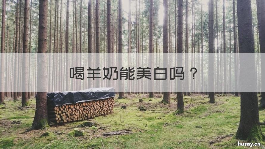 喝羊奶能美白吗 长期喝羊奶可以美白吗