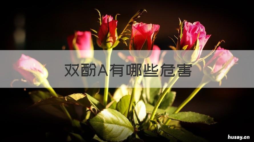 双酚A有哪些危害 双酚a是什么 有什么危害