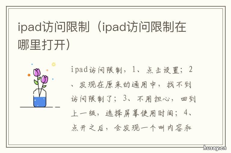 ipad访问限制 ipad访问限制无法退出登录Apple ID
