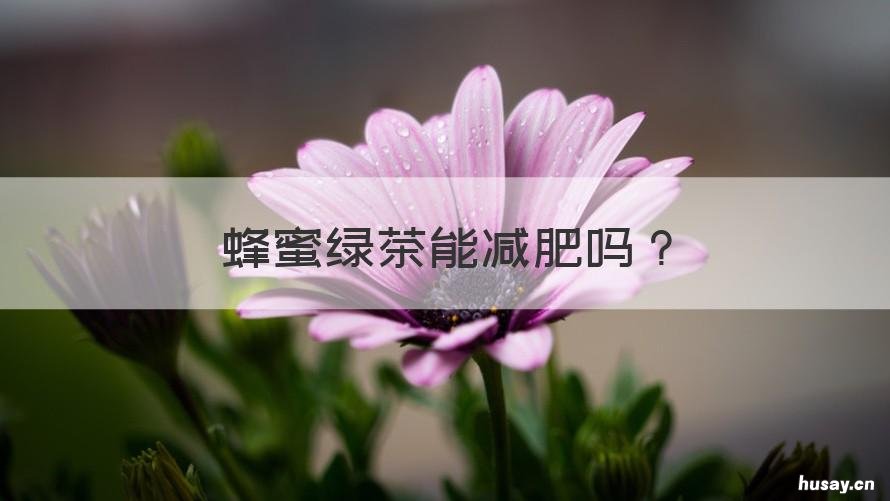 蜂蜜绿茶能减肥吗 蜂蜜绿茶减肥法