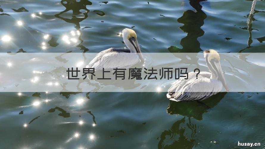 世界上有魔法师吗 魔法世界的法师