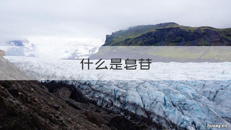 什么是皂苷 什么是皂苷,对身体有什么好处?