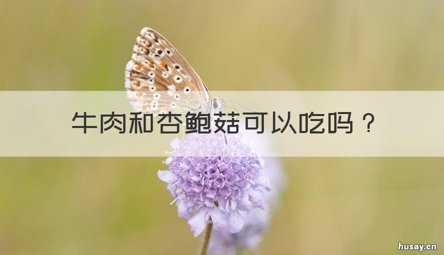 牛肉和杏鲍菇可以吃吗 杏鲍菇炒牛肉可以吃吗