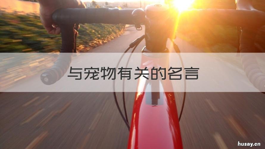 与宠物有关的名言 与宠物有关的名言有哪些