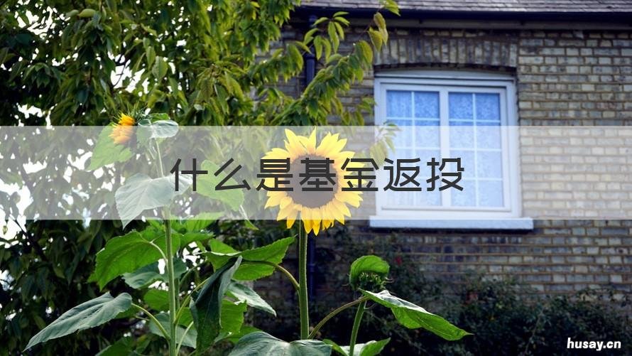 什么是基金返投 基金返投范围认定