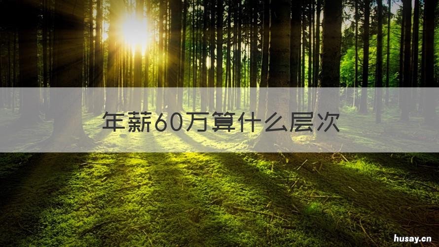 年薪60万算什么层次 年薪60万月薪多少