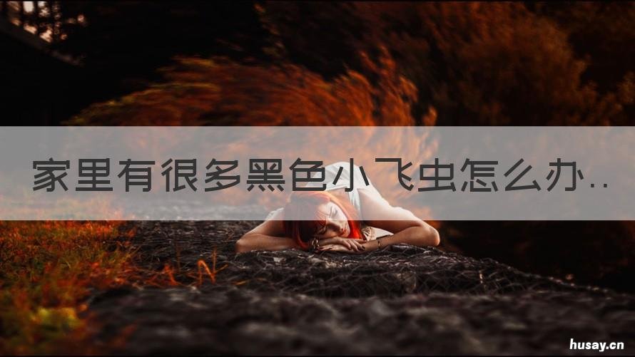 家里有很多黑色小飞虫怎么办 家里好多黑色的小飞虫怎么办