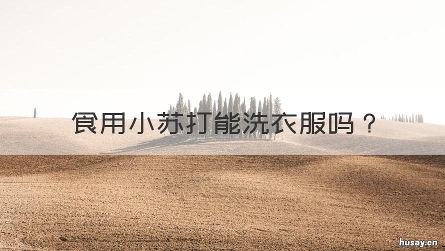 食用小苏打能洗衣服吗 食用小苏打能洗衣服吗?
